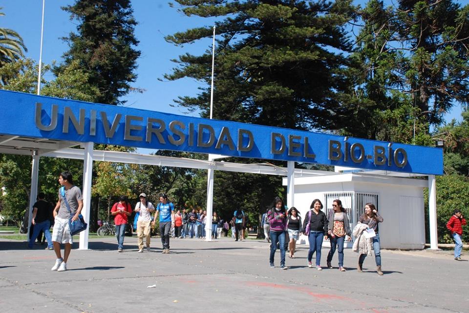 Ramada no autorizada en la UBB deja 3 heridos: Uno de ellos fue apuñalado