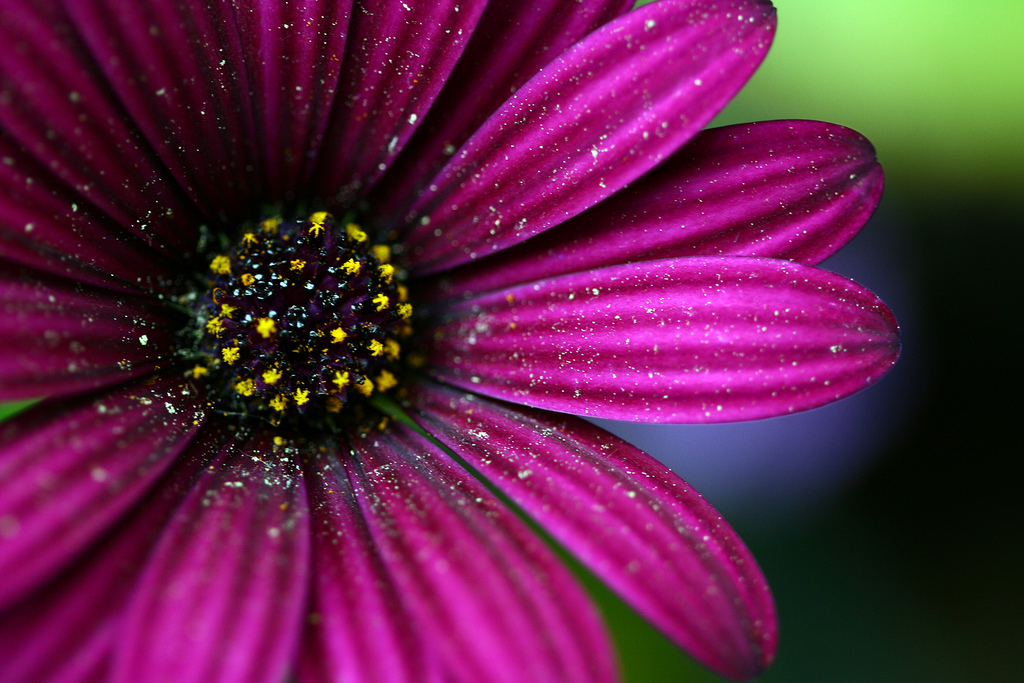 Los 7 errores que las personas alérgicas suelen cometer