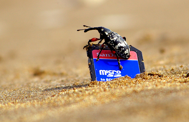 Lanzan al mercado tarjeta de memoria SD con la mayor capacidad en la historia de estos dispositivos