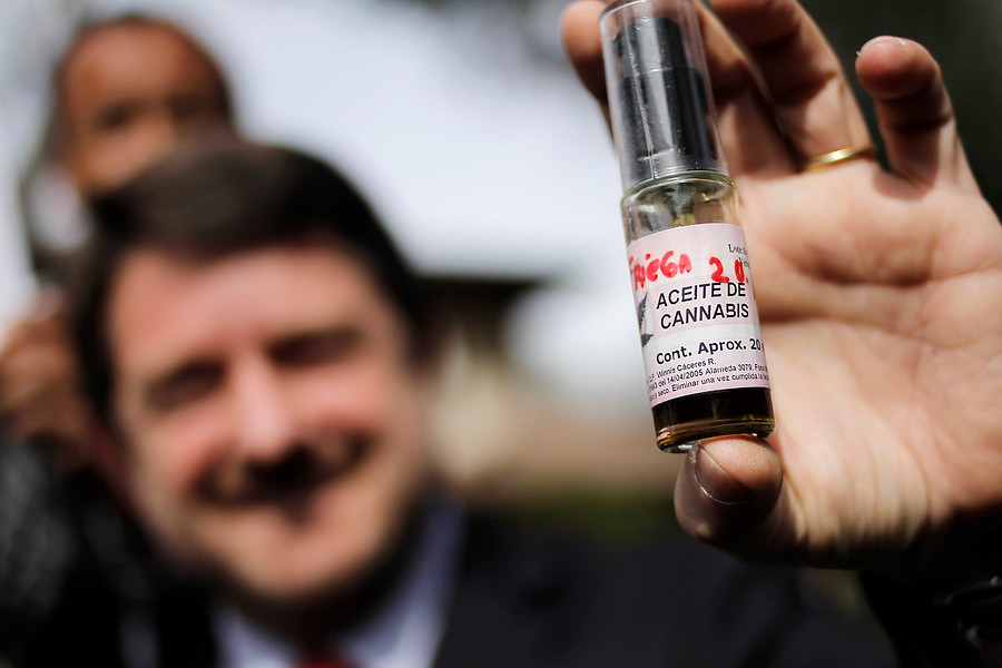 Histórico: Autorizan primer cultivo de marihuana para fines medicinales