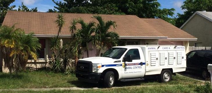 Policía que investigaba posesión de pornografía se sorprendió con insólito hallazgo