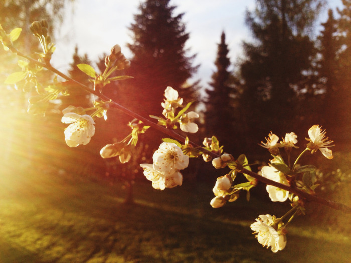 6 reglas que te asegurarán el triunfo en Instagram