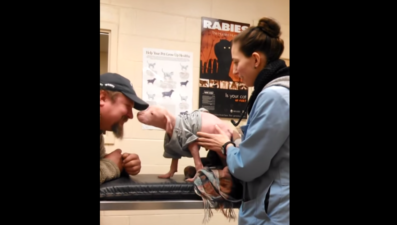 Emocionante reencuentro entre cachorro y el hombre que le salvó la vida