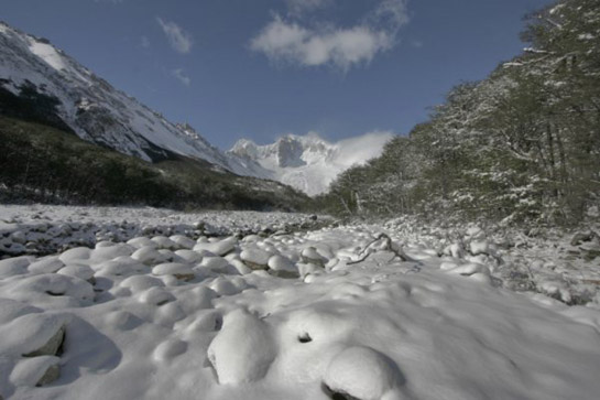 Reconocidos esquiadores extranjeros mueren tras avalancha en monte de Cochrane