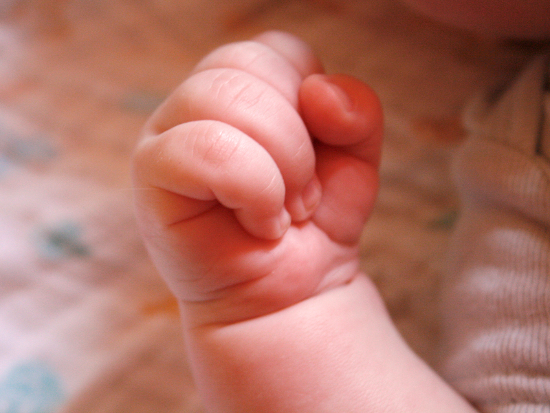 ¡Ojo al charqui! 35 frases populares que sólo entendemos nosotros