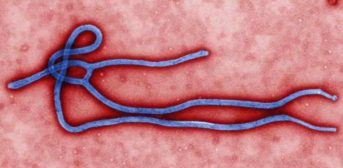 Empresa se aprovecha de epidemia para vender el sitio 'Ebola.com' por 200 mil dólares