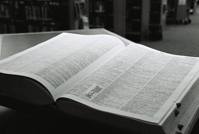 Papichulo, tuit y amigovio: Las curiosas palabras que entraron al diccionario español