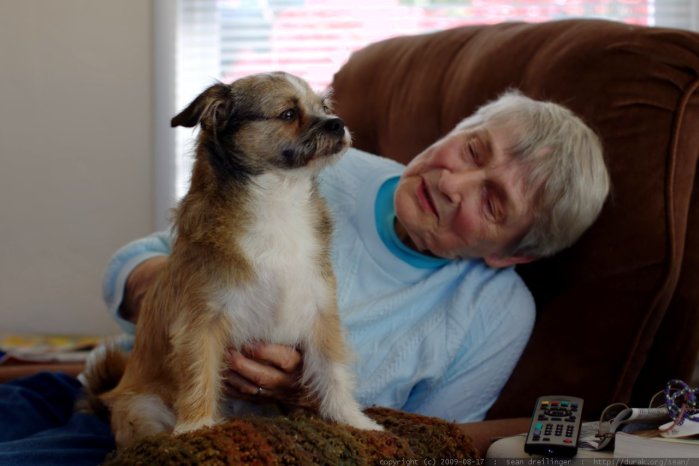 Conoce los beneficios de una mascota en la vida de un adulto mayor
