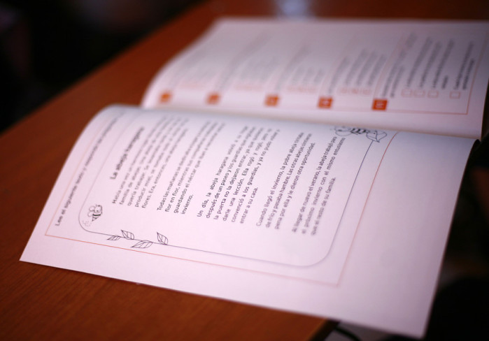 Profesora muere mientras aplicaba el Simce en comuna de Tirúa