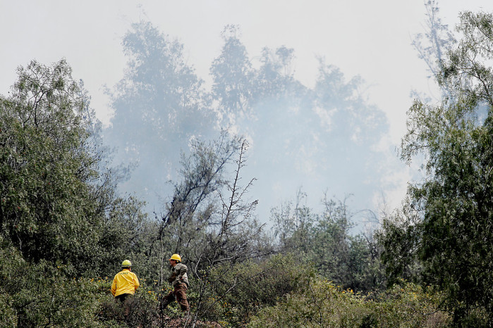 Brigadas de Conaf y Bomberos combaten incendio en Cerro San Cristóbal