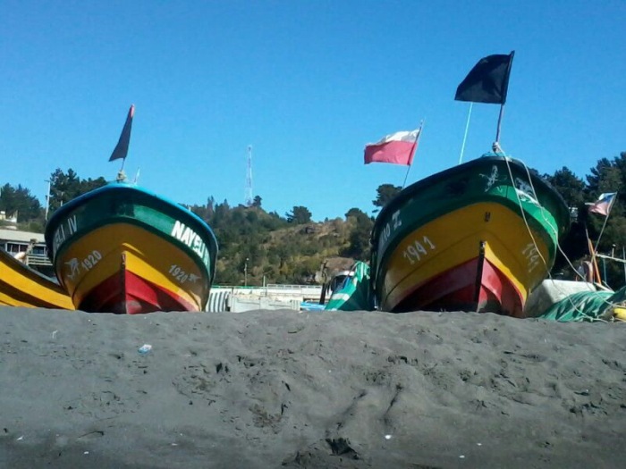 Pescadores del Bío Bío enojados por nueva veda 'flash' de sardina y anchoveta