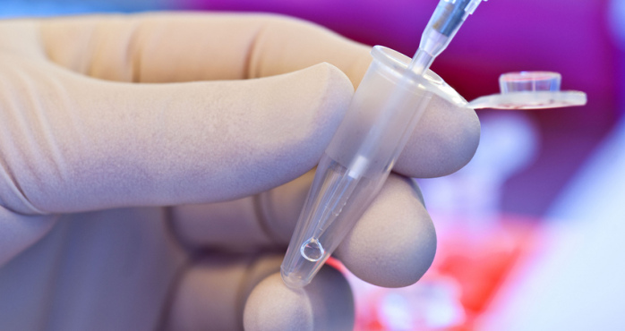 Investigadores están listos para empezar a 'cultivar' penes de laboratorio