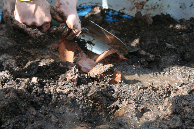 Usan excrementos de cerdos y vacas para generar electricidad en Pichidegua
