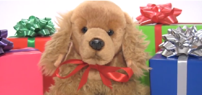 Impactante: El video que revela la cruda verdad tras la venta de mascotas