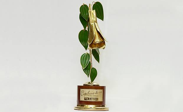 Antisociales roban pertenencias de querido y popular periodista fallecido