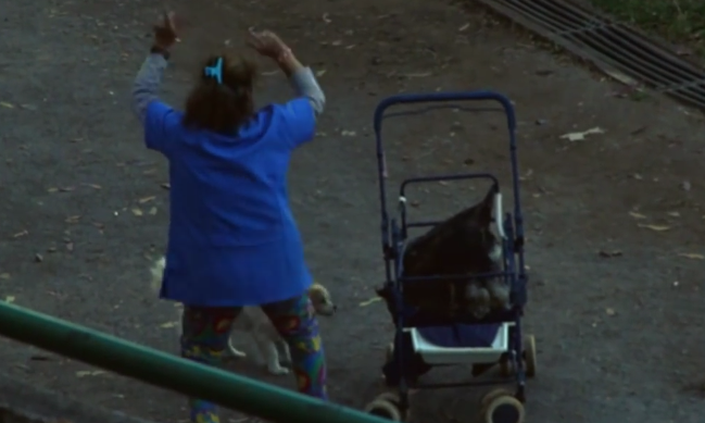 Señora causa furor con desenfrenado baile en pleno festival de música