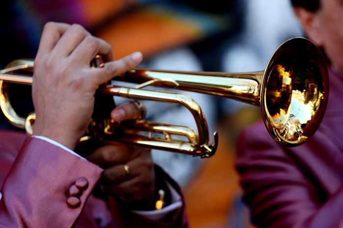 ¡Cumbia!: Groupon te permite tener a la Sonora Palacios tocando en tu casa