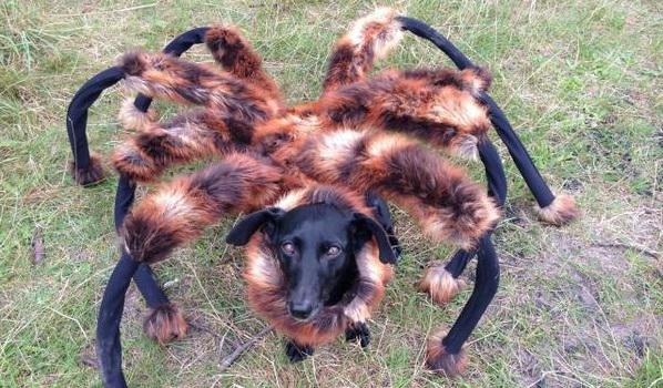 ¡Recuento!: Estos son los 10 virales más vistos en Youtube durante 2014