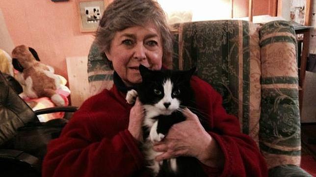 La increíble historia del gato que atravesó Francia para pillar a su dueña