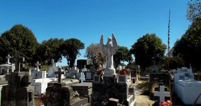 Inédita denuncia en Chillán: Chancha se come las flores de cementerio Parque las Flores