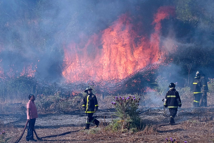 Valparaíso y La Calera: Continúa Alerta Roja por incendios forestales