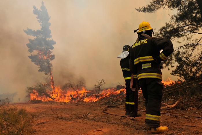 Chile ha perdido 23 mil hectáreas esta temporada por incendios forestales