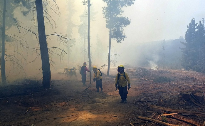 Brigadistas de Conaf inician paro indefinido en el Bío Bío por condiciones laborales