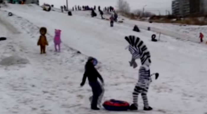 Esto pasa cuando un borracho molesta a la cebra de 'Madagascar'