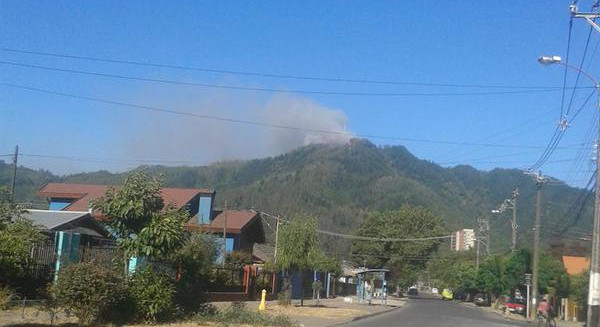 Decretan Alerta Roja para provincia de Concepción por incendio forestal en Chiguayante