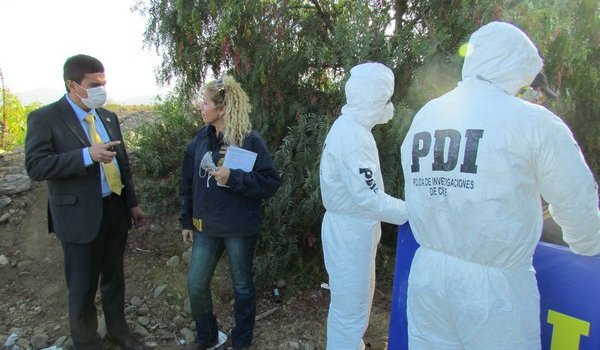 Detenidos: Sujetos abandonaron cadáver envuelto en alfombra en sitio eriazo de Purranque