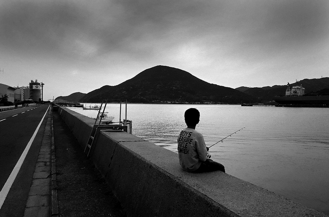 ¿Nueva especie o malformación?: Encuentran extraño pez con 2 bocas en Australia