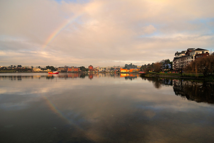 Hallan cuerpo sin vida de joven viñamarino en la ribera del Lago Llanquihue