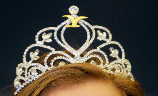 Viña tiene nueva candidata a reina: Matinal confirma a su representante