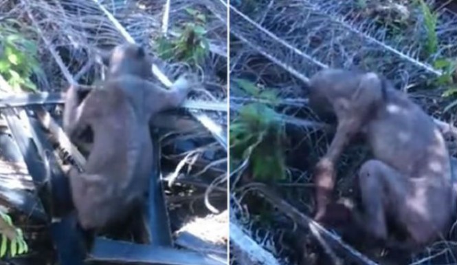 La cruda realidad tras el supuesto 