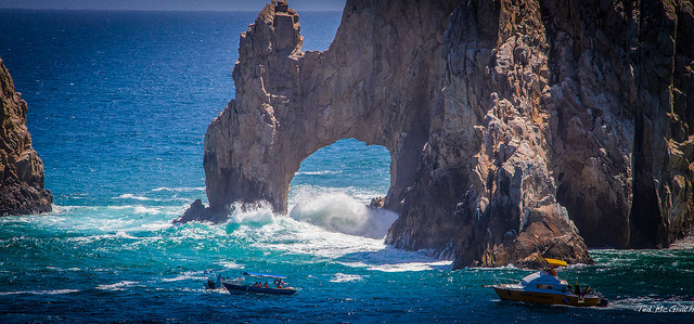 Mujer canadiense muere luego que ballena golpeara embarcación en la que viajaba