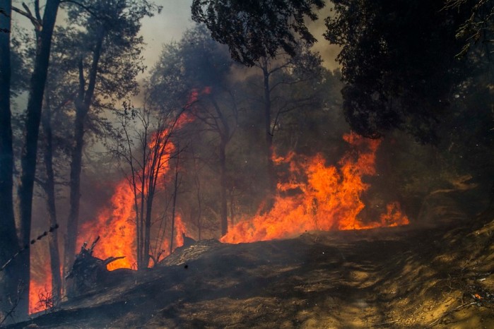 Declaran alerta preventiva entre Coquimbo y Maule por riesgo de incendios forestales