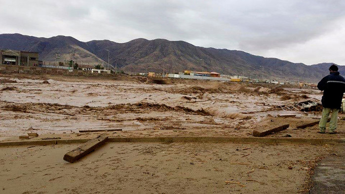El video que revela cómo un perro se salvó de morir en aluvión de Chañaral