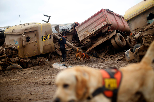 Pablo Vera Lisperguer | Agencia UNO