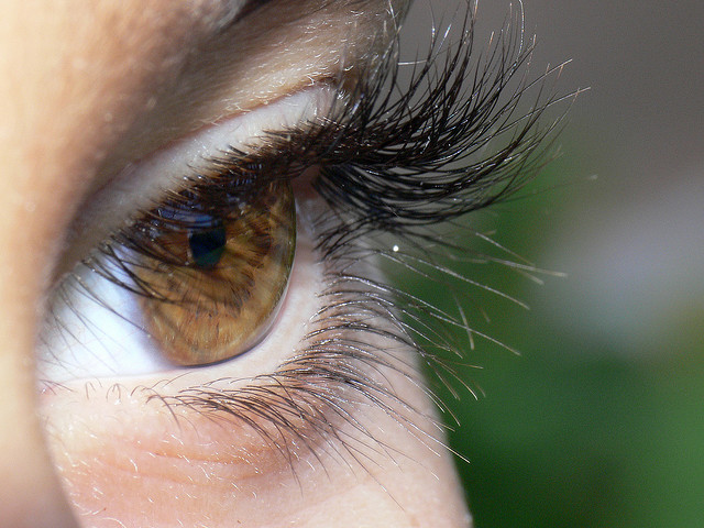 Estudio revela el largo exacto que deben tener las pestañas