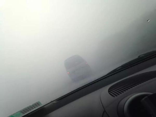 Humo de incendios forestales obligó a cerrar rutas en región de Los Lagos