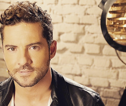 David Bisbal desmintió rumores de ruptura con romántica foto a Instagram