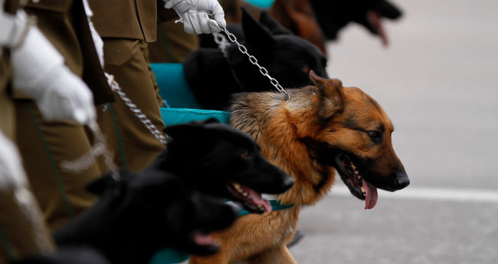 Carabineros detuvo a mujer que llevaba 3 kilos de droga oculta en su busto