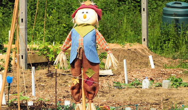 Argentino murió tras tener relaciones sexuales con su espantapájaros