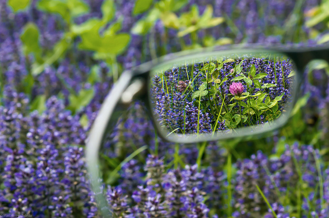 Espectacular ilusión óptica puede determinar si tienes problemas a la vista