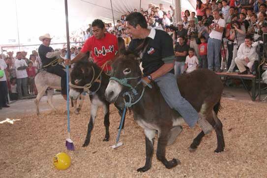 Con divertidos memes el 'pueblo' se burló del Mundial de Polo en Chile