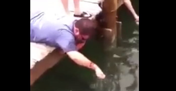 Nunca molestes a un tiburón o lo pasarás tan mal como este hombre