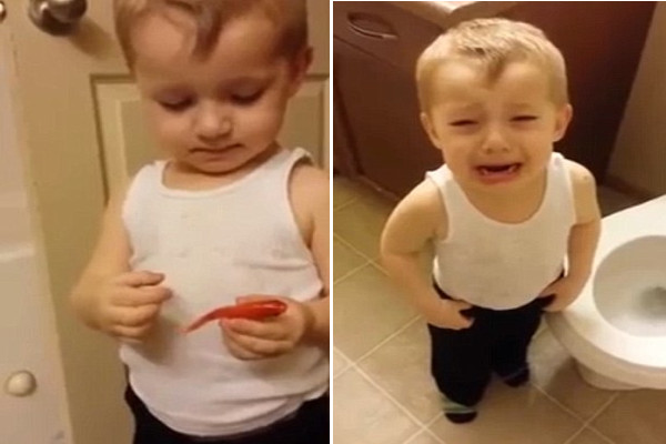 Conmovedor: Video de niño en funeral de su pez se vuelve viral