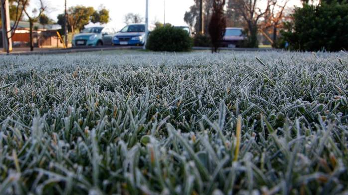 “Más frío que”: Con estos memes los tuiteros se rieron de bajas temperaturas