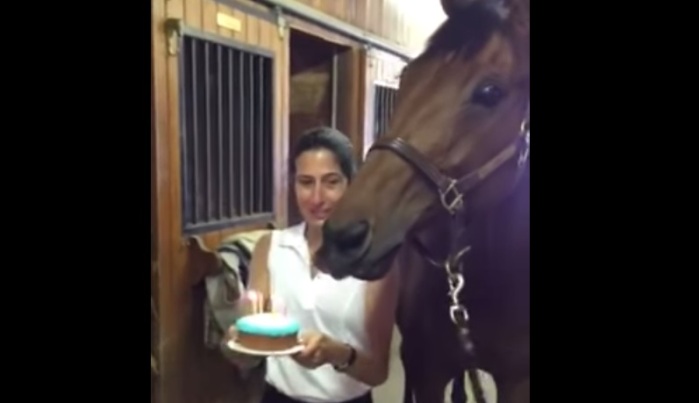 La desopilante reacción de un caballo tras apagar sus velas de cumpleaños