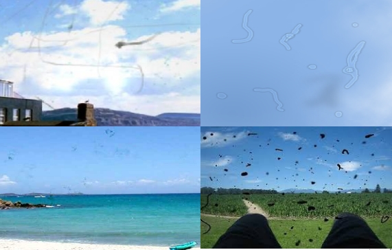 El defecto ocular que te hace ver extrañas pelusas flotantes